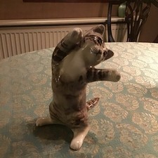 Winstanley standing Cat size 4
