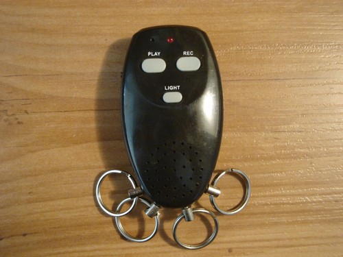 Voice recording key - voice,