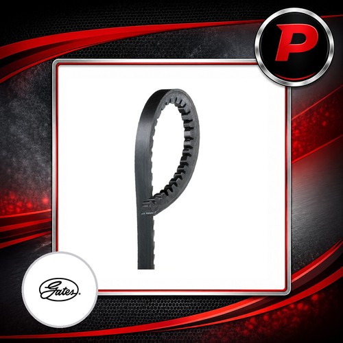 Gates belt right fits alfa - v-belt,