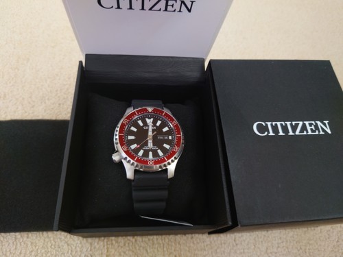 Citizen fugu ny0156 - 04e, men's