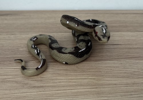 Snake realistic plastic toy - realistic,