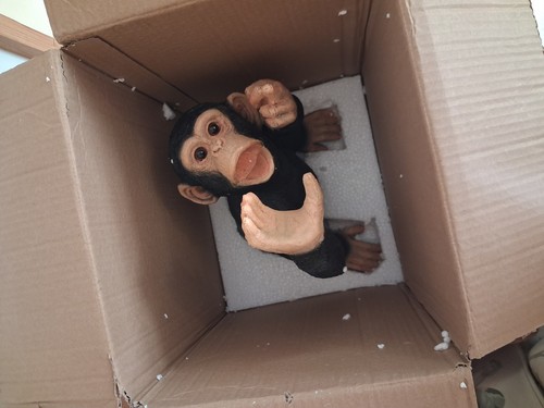 Monkey wine bottle holder - bottle,