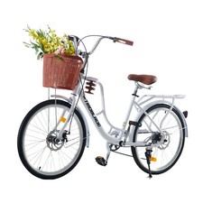 26 inch Wheels Adult City Bike