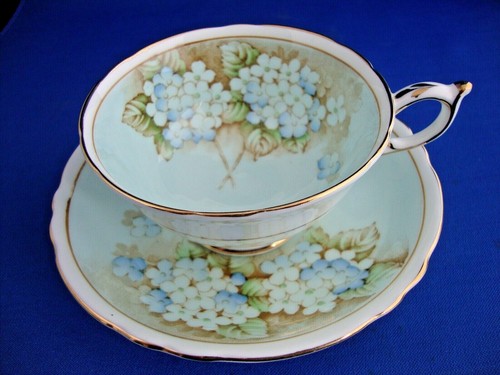 Paragon blue hydrangea teacup - hydrangea,