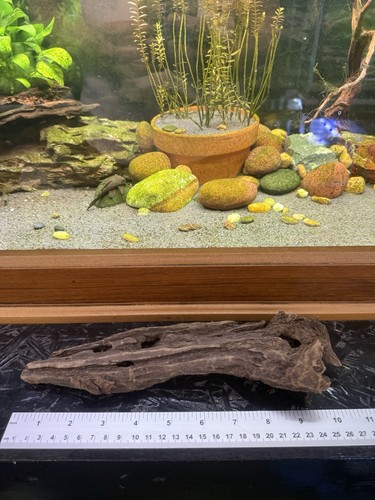 Natural aquarium driftwood - natural,