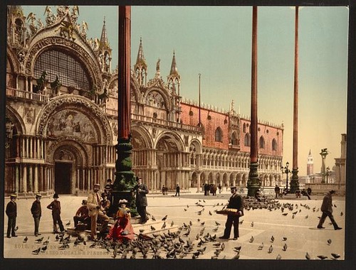 Pigeons mark s - st, place