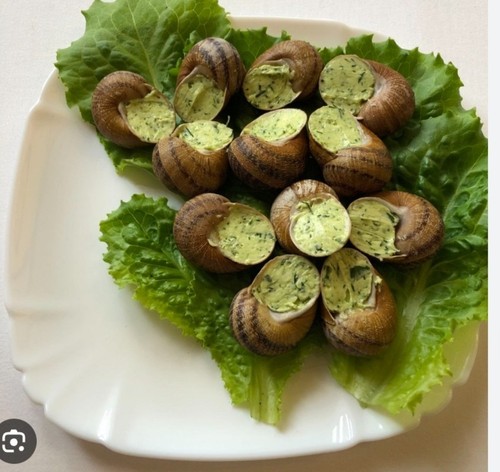 Luxury gourmet escargot - gourmet,