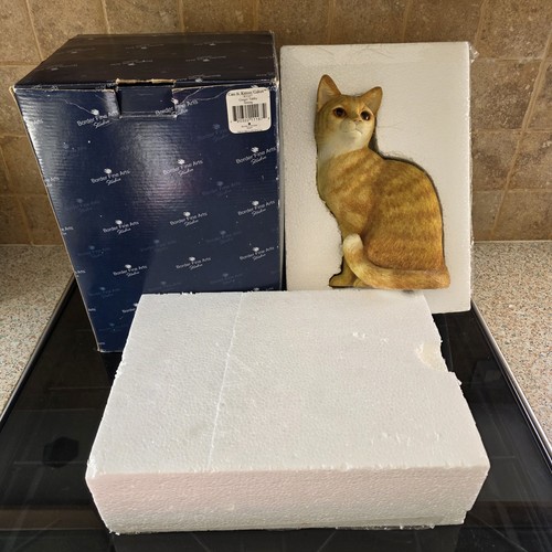 Border fine arts cats - border,