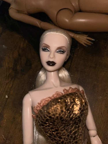 Integrity fashion royalty - integrity/fashion,
