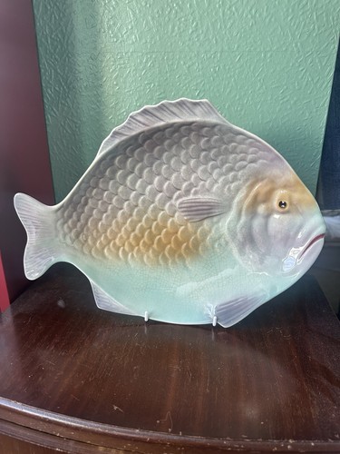 Shorter son fish - &,