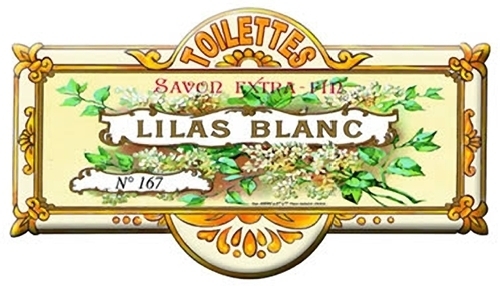 French advert lilac - lilac, flower