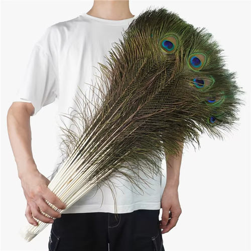 10pcs real peacock feather - 10pcs,