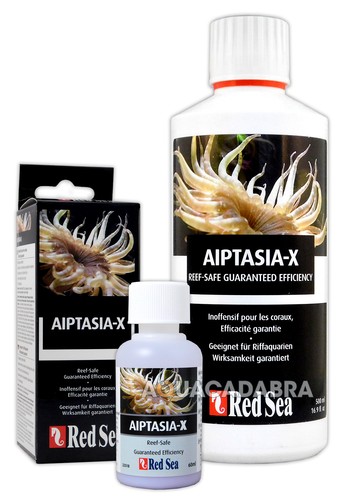 Red sea aiptasia elimination - red,