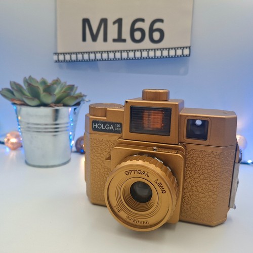 Holga gold 120 cfn - holga,