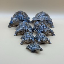 2 Wade Tortoise Trinket Box -