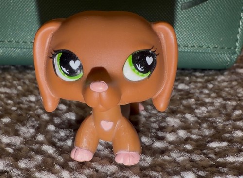 Authentic littlest pet shop