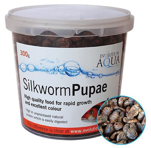 Evolution aqua silkworm 6kg - evolution,
