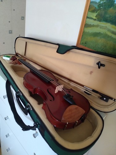 Stentor student violin 4 - stentor,