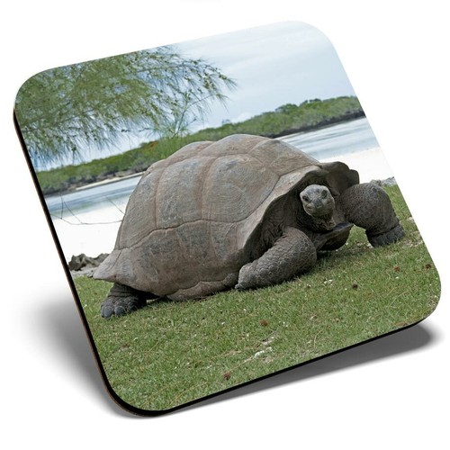 Square single coaster - square,