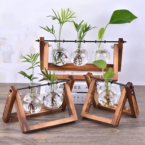 Vintage hydroponic plant - plant, vase