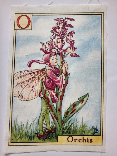 Orchis alphabet letters - -,