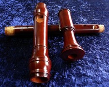 Extremely ELEGANT! Beginner! Rare! Tenor Recorder with Great Sound, Flap, Do