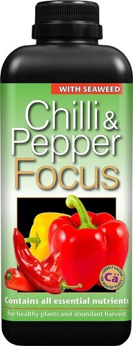 Growth technology chilli and - technology,