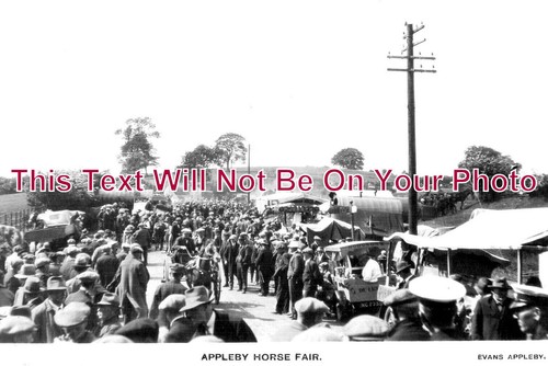 1152 appleby horse fair - 1152,