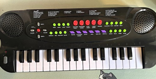 Key small electronic - 22-key,