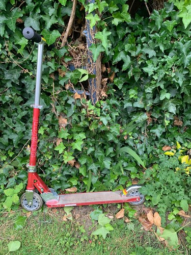 Bug street folding scooter - ,