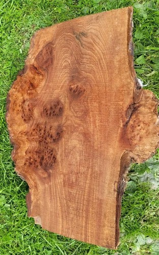 Timber scottish burr - timber, elm