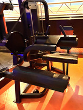 Cybex Seated Leg Curl Machine