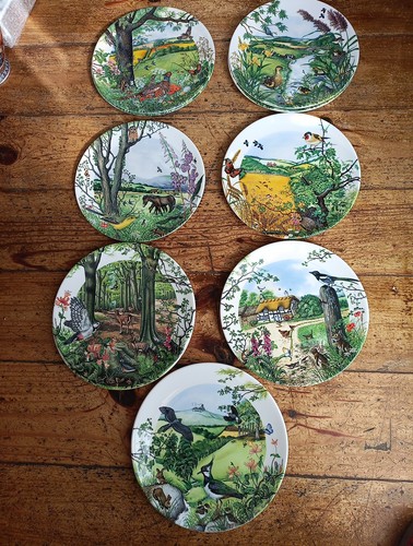 Wedgwood limited edition - limited, bone