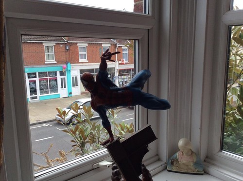 The amazing spider - the, spider-man