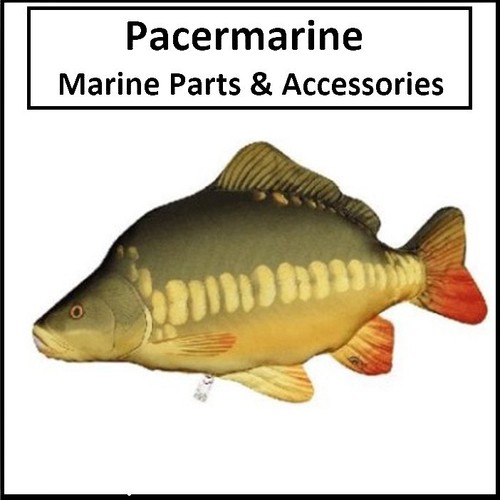 Mirror carp fabric cushion - mirror,