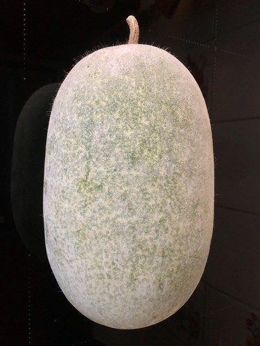 Rare small winter melon wax - rare,