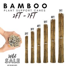 Bamboo Heavy Duty Garden Canes