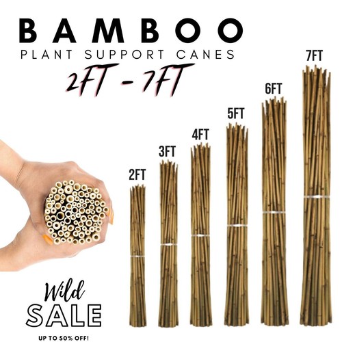 Bamboo heavy duty - bamboo, canes
