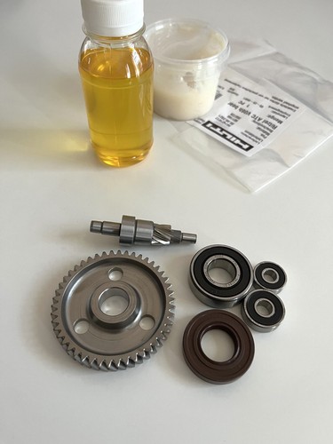 Eccentric gear rotor - rotor, armature