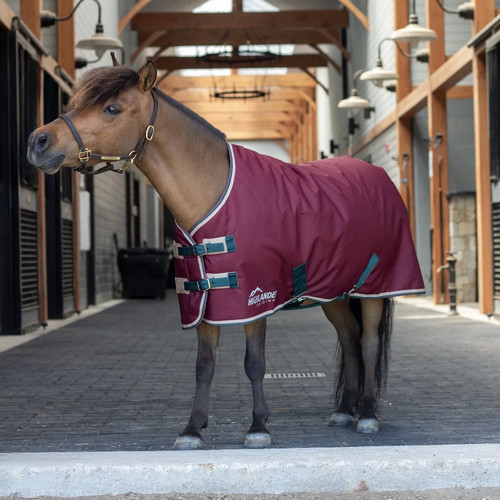 Shires mini highlander - highlander, 200