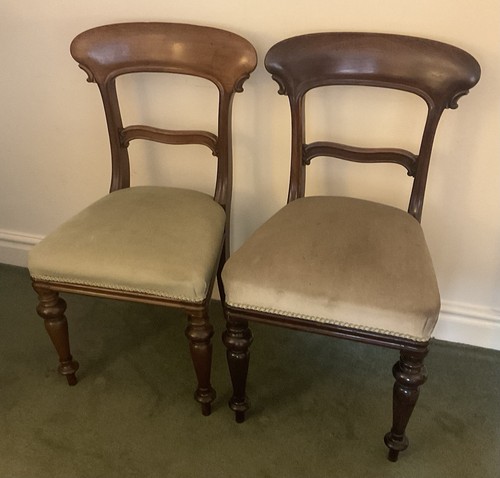 Pair victorian single chairs - pair,