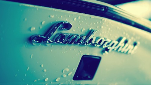 Car lamborghini white cars - car,