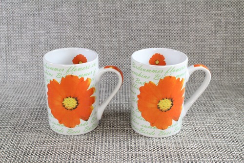 Set vintage retro floral - of,
