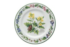 Royal Worcester - Worcester