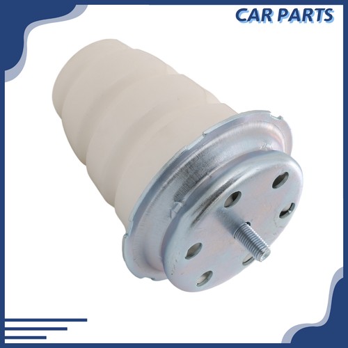 Rear suspension spring - rear,