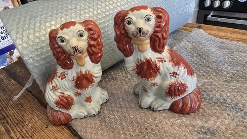 Vintage staffordshire spaniel - vintage,