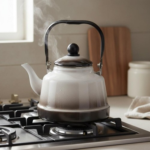 Enamel stovetop kettle fast - enamel,