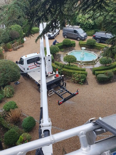 Truck mounted cherry - 23,