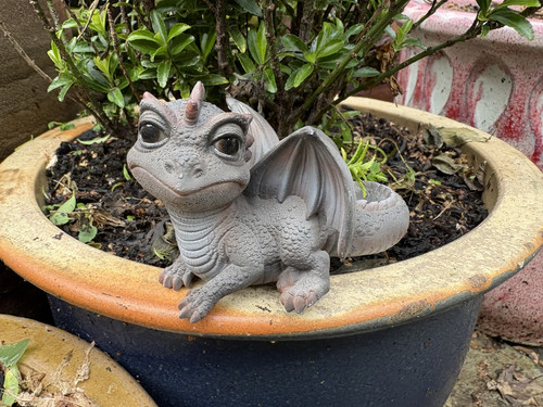 Vivid arts baby dragon - baby, plant