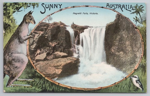 Sunny australia negretti falls - sunny,